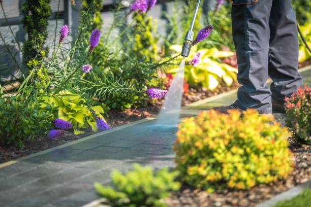 Best Animal Enclosure Cleaning  in Spotswood, NJ
