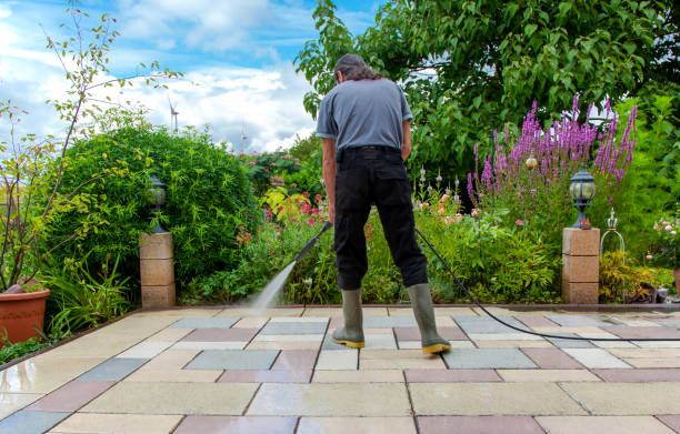 Animal Enclosure Cleaning in Spotswood, NJ